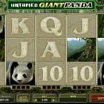 untamed giant panda slots online