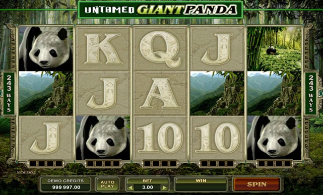 Untamed Giant Panda Slot Online