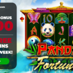 100 free spins