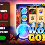 wolf gold free spins canada - power play